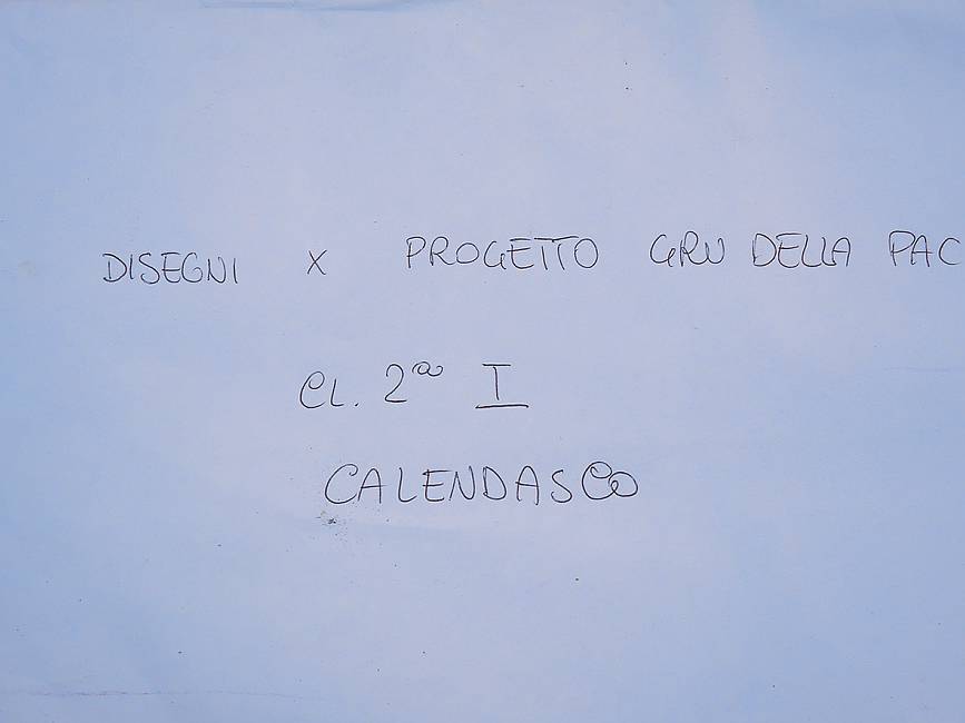DSCN6491