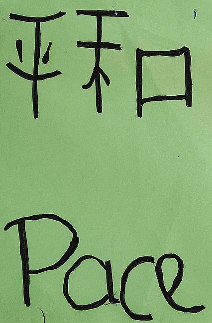DSCN6691
